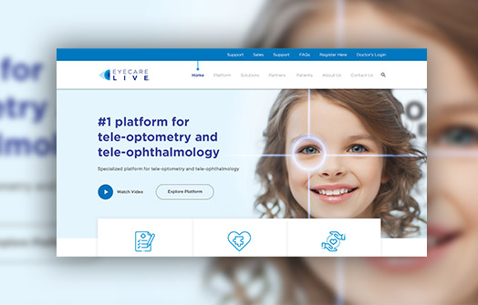 chittlesoft solutions portfolio